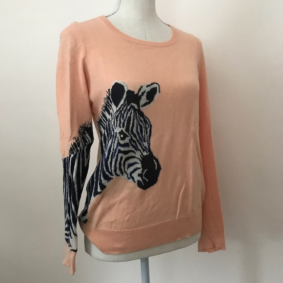 Anthropologie Sweaters - Anthropologie HWR Quagga Pullover Sweater